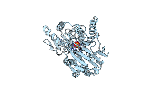 2I7T image