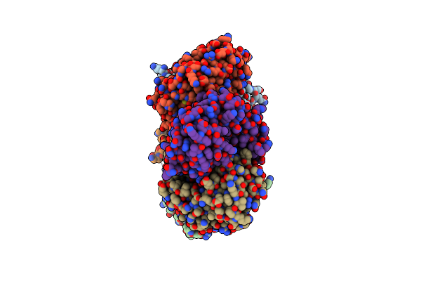 2I8A image