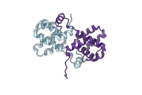 2I8B image