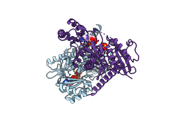 2I8C image