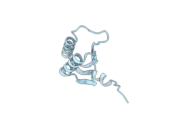 2I8E image