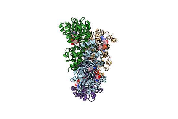 2I9P image