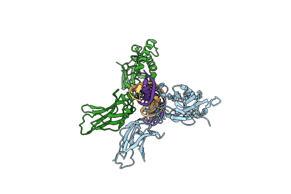 2I9T image