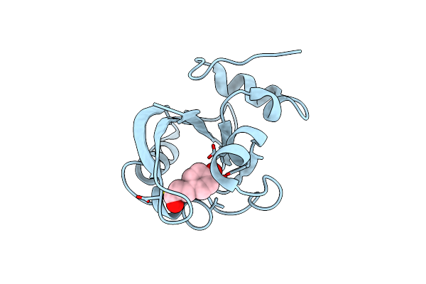 2I9V image