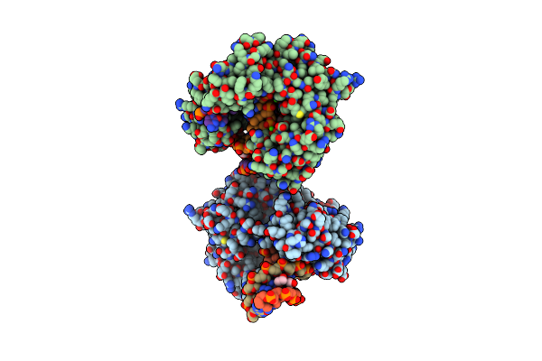 2IA6 image