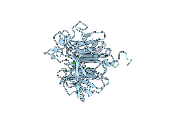 2IAR image