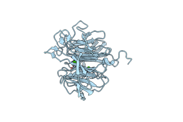 2IAT image
