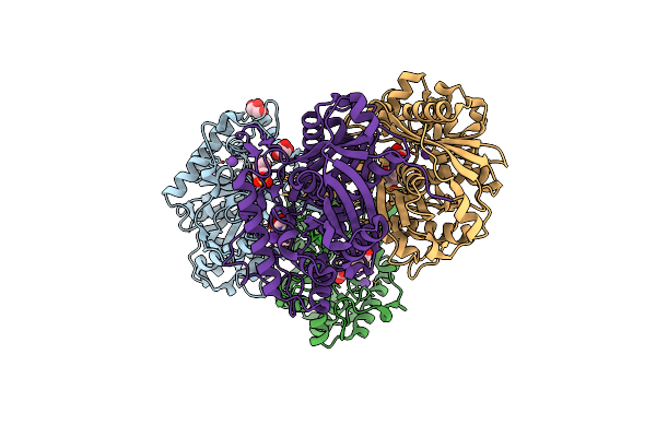 2IB8 image