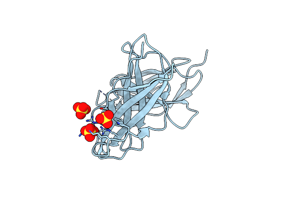 2IBB image