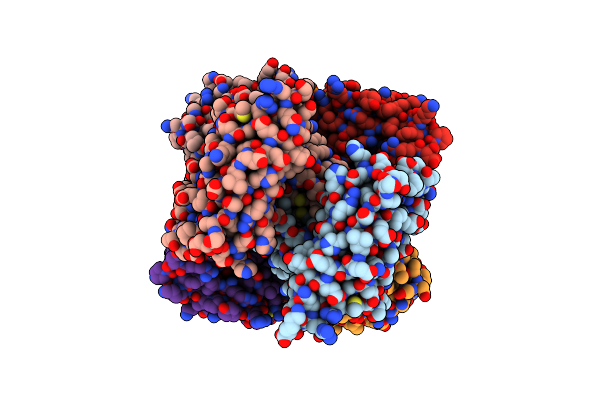 2IBG image