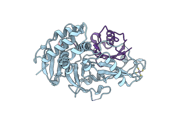 2IBI image