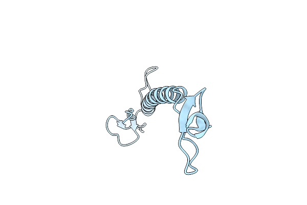 2IBL image