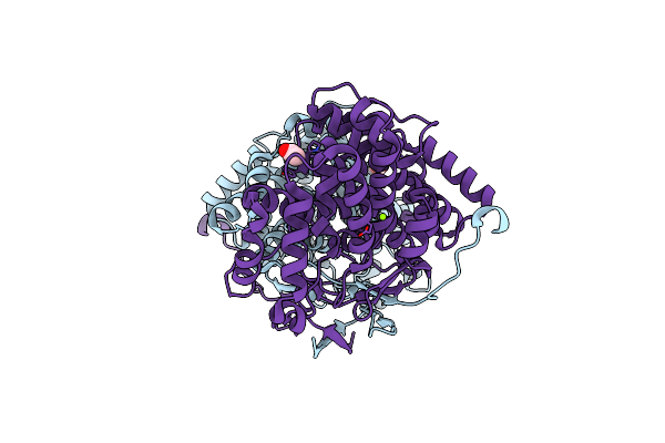 2IBP image