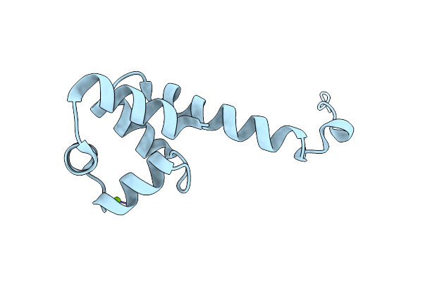 2ICP image