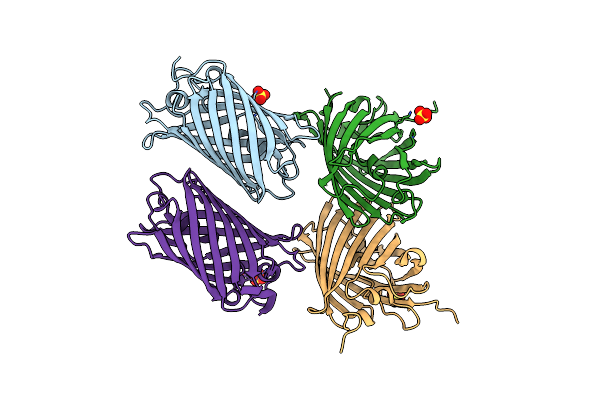 2ICR image