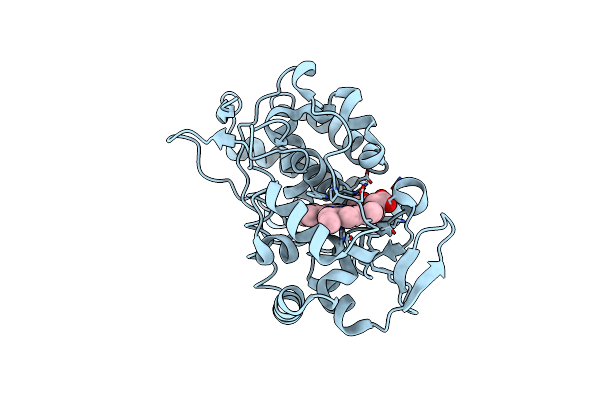 2ICV image