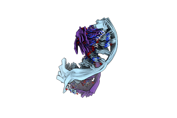 2ICZ image