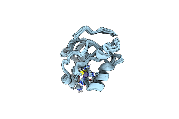 2IDA image