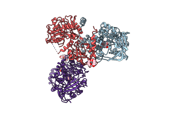 2IDB image