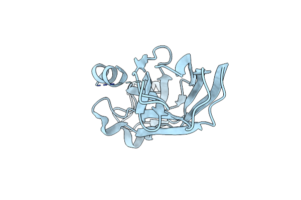 2IDC image
