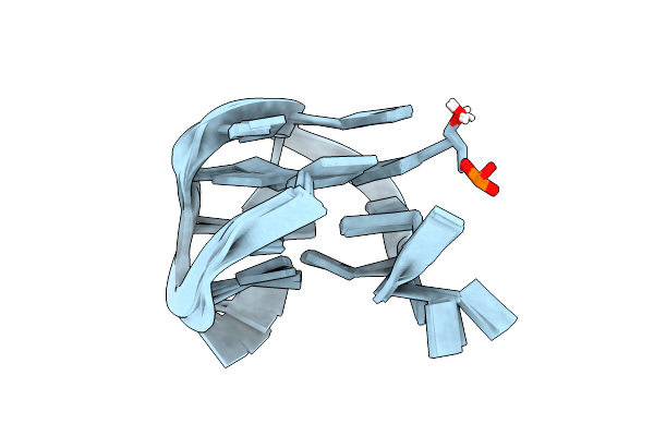 2IDN image
