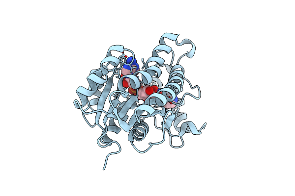 2IE0 image