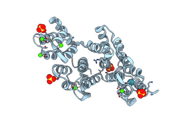 2IE6 image