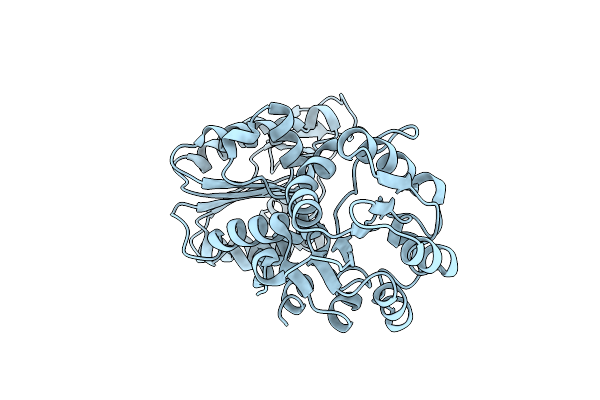 2IE8 image