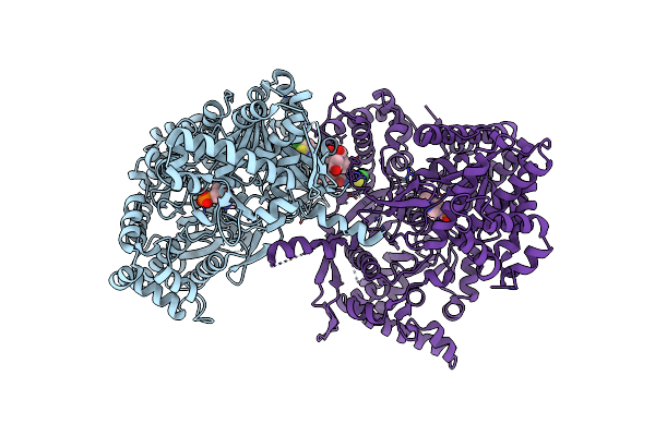2IEI image