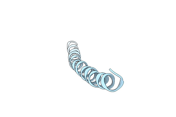 2IFM image