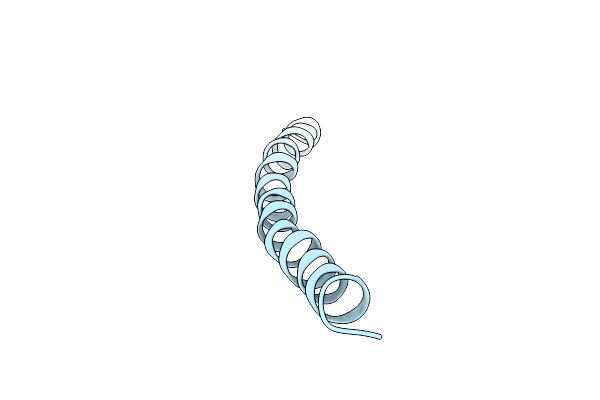 2IFO image