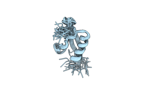 2IGG image