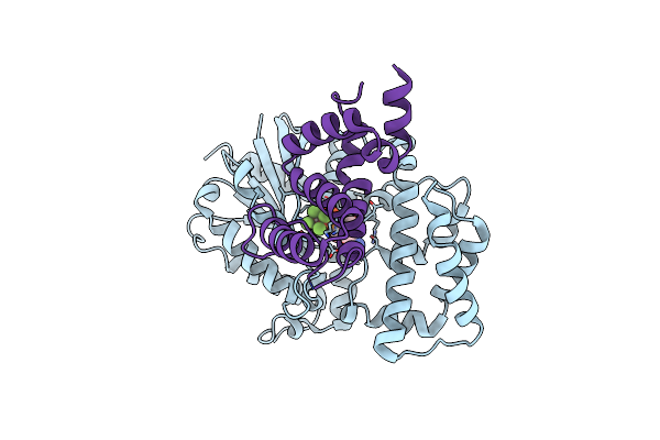 2IHB image