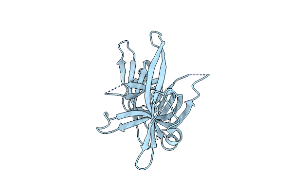 2IHF image