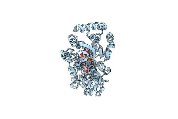 2IHK image