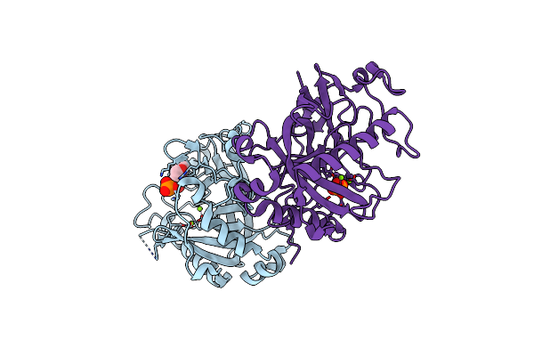 2IHP image