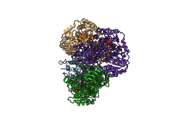 2IHV image