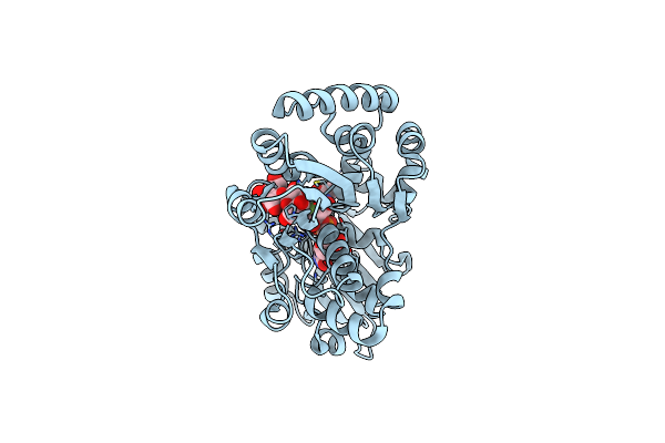 2IHZ image