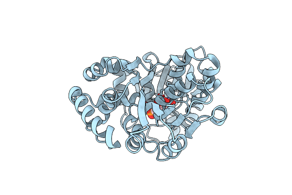 2II6 image