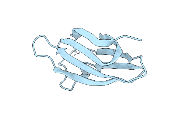 2IIA image