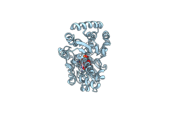 2IIB image
