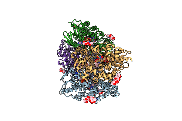 2IID image