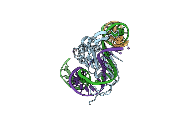 2IIE image
