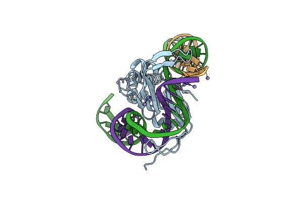 2IIF image