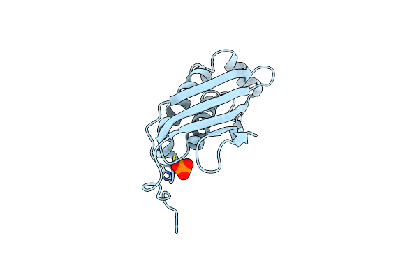 2IIH image