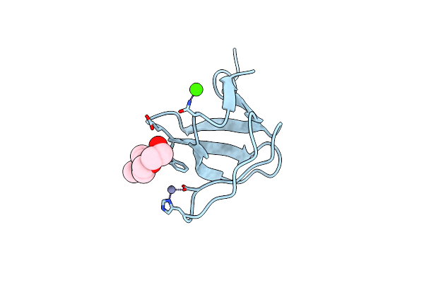 2IIM image