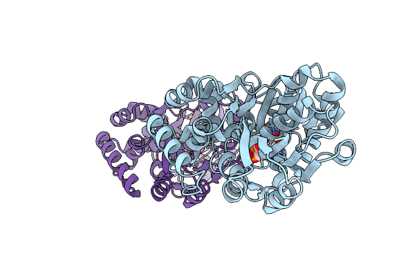 2IIQ image