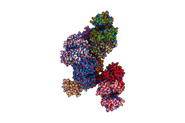 2IIR image