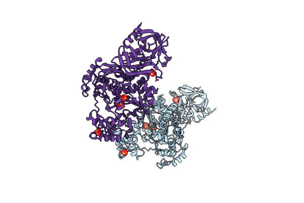 2IJD image