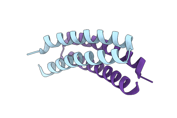 2IJK image